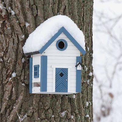 Blue and white nesting box and feeder