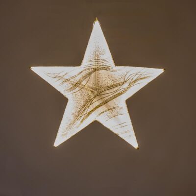 Small Champagne Glitter LED Light Star