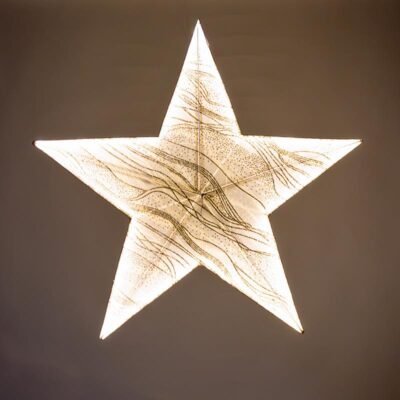 Large Champagne Glitter LED Light Star